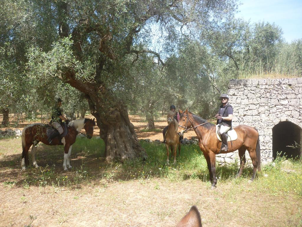 Masseria Li Campi カヴァッリーノ・ディ・レッチェ エクステリア 写真