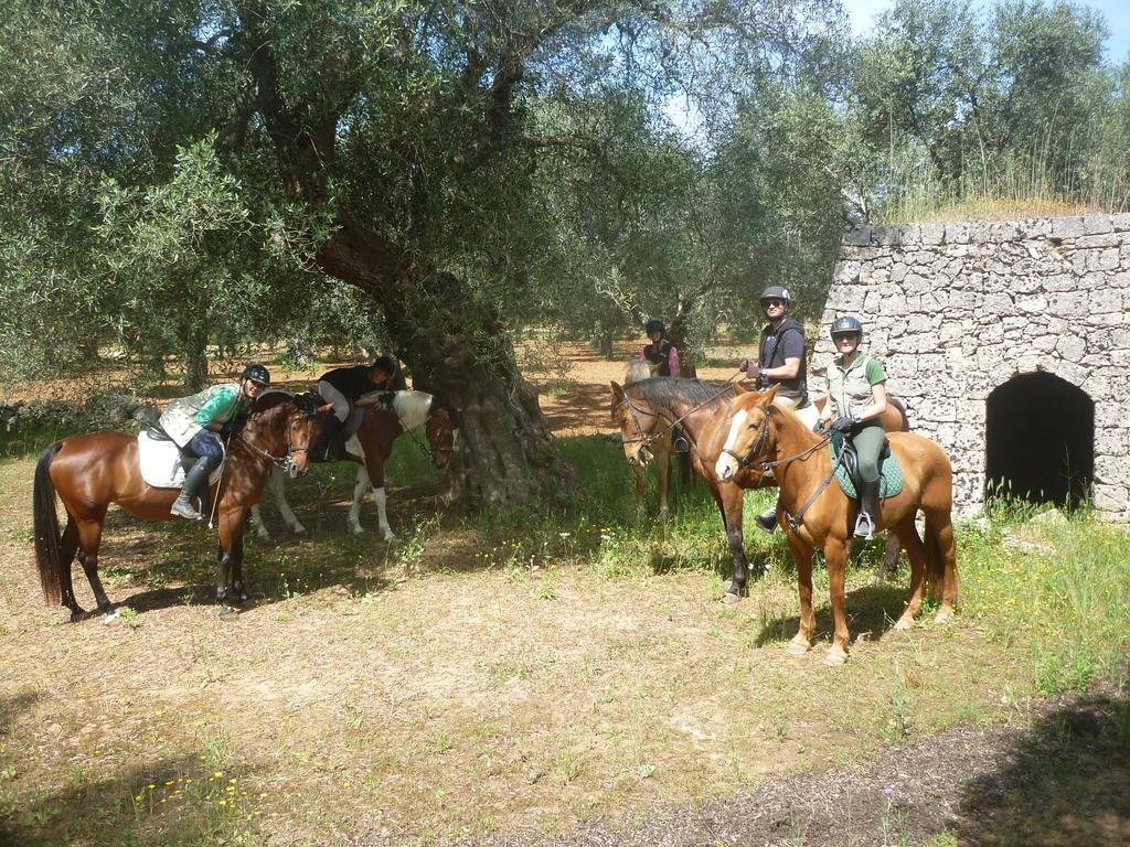 Masseria Li Campi カヴァッリーノ・ディ・レッチェ エクステリア 写真