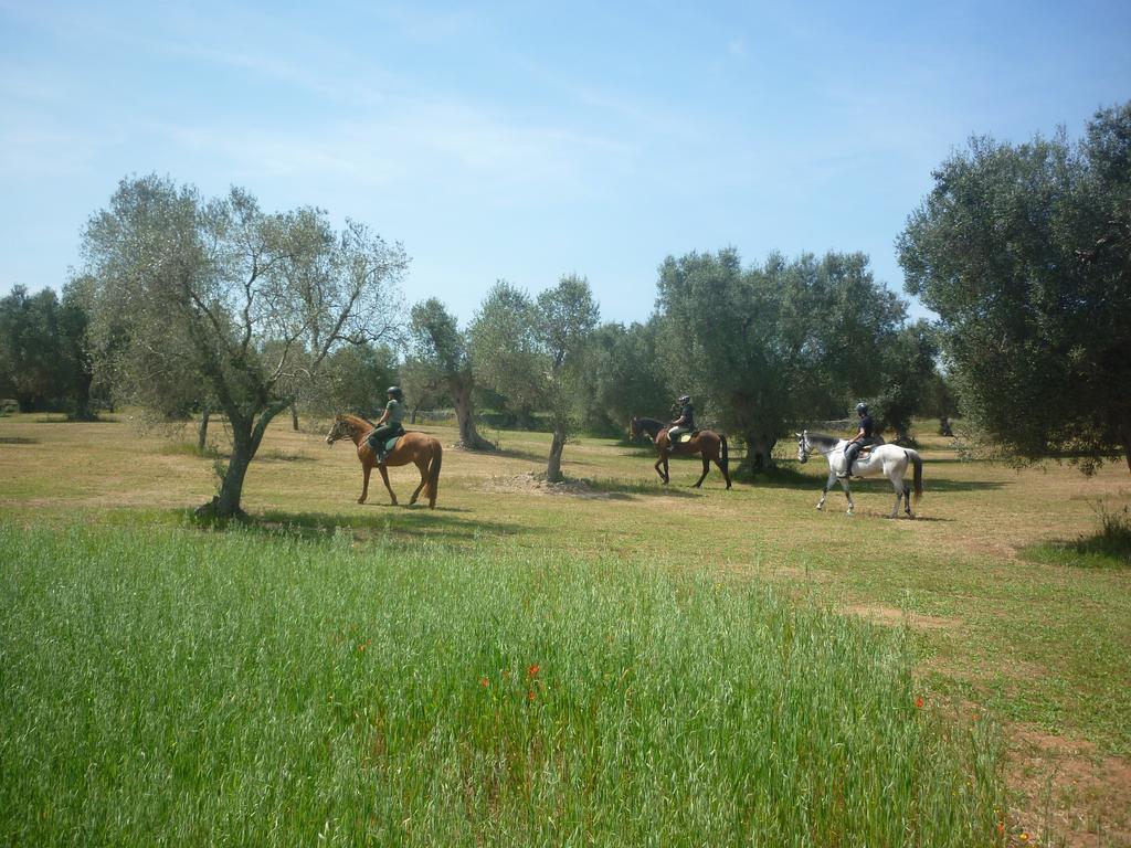 Masseria Li Campi カヴァッリーノ・ディ・レッチェ エクステリア 写真