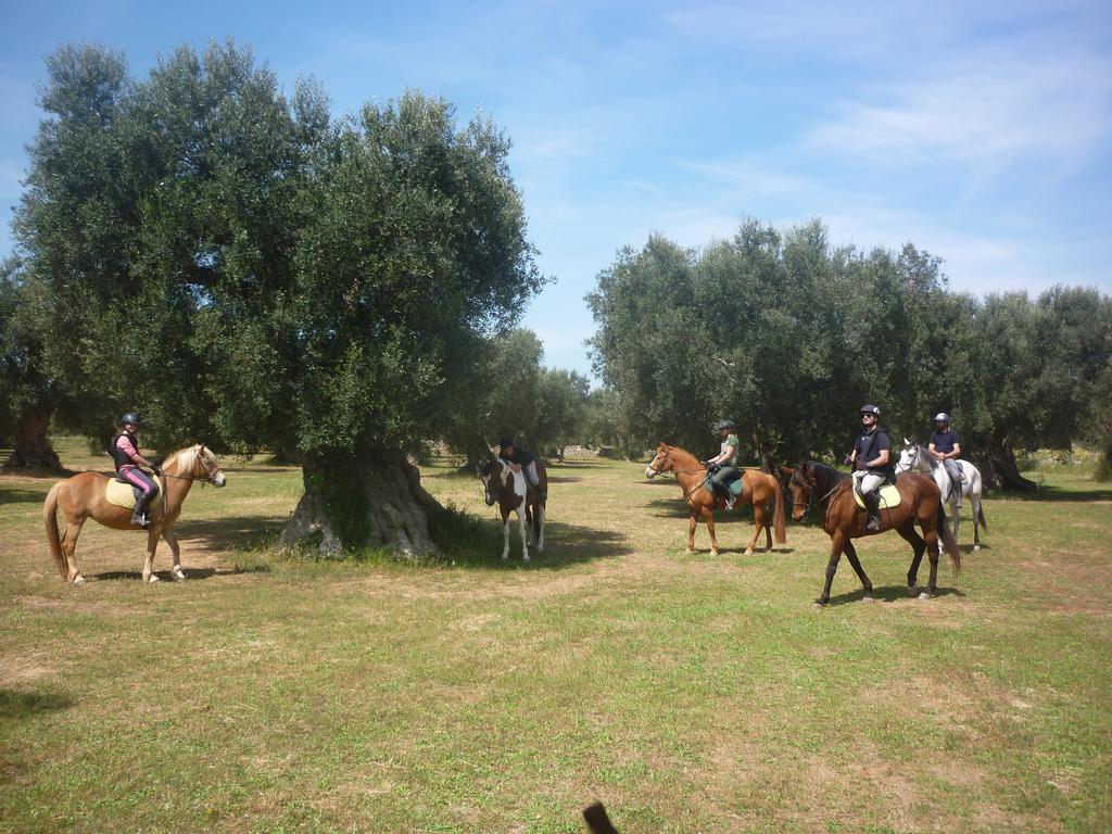 Masseria Li Campi カヴァッリーノ・ディ・レッチェ エクステリア 写真