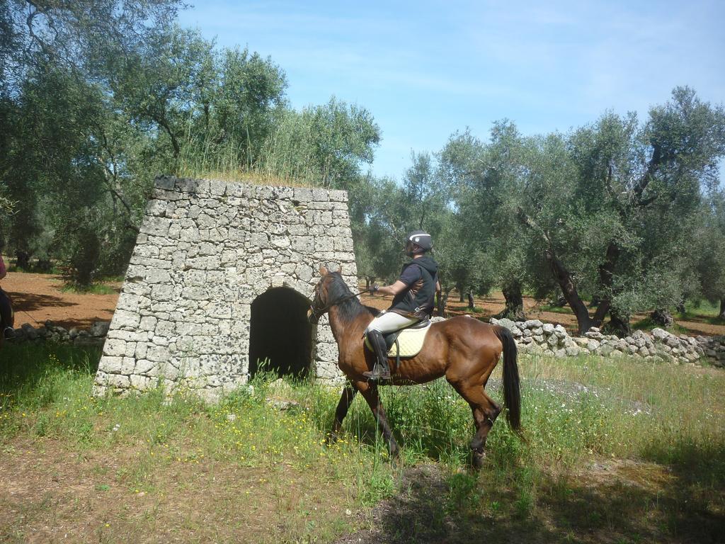 Masseria Li Campi カヴァッリーノ・ディ・レッチェ エクステリア 写真